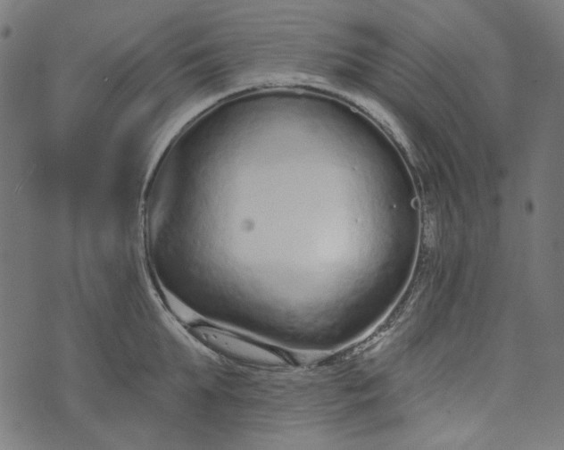 X0000073760903200608171353