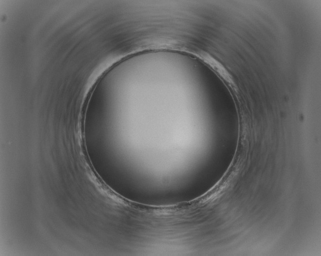 X0000073760904200608171353