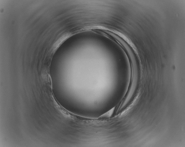 X0000073760905200608171353