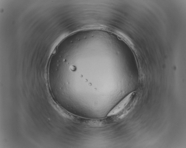 X0000073760907200608171353