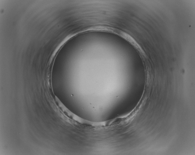 X0000073760908200608171353