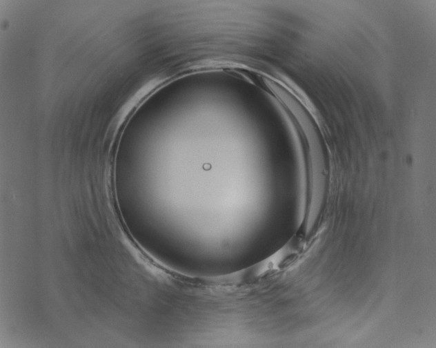 X0000073760909200608171353