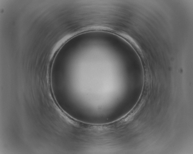 X0000073760910200608171353