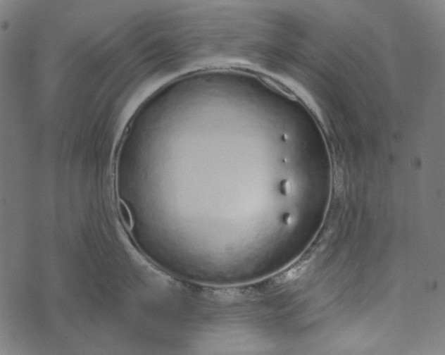 X0000073760911200608171353