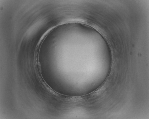 X0000073760912200608171353