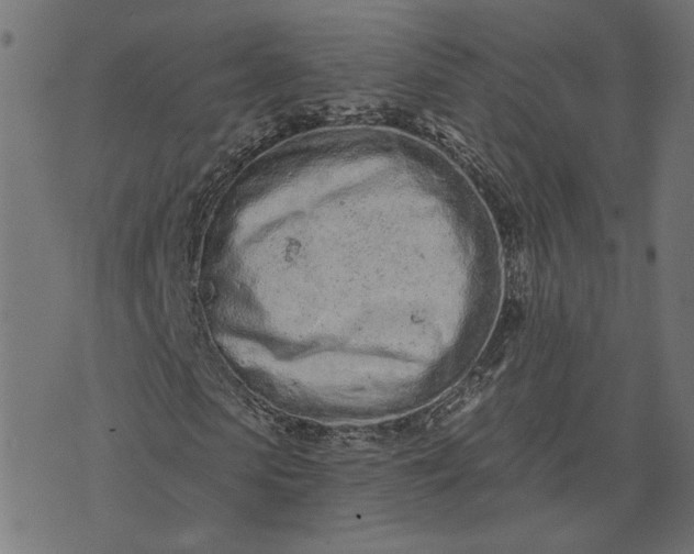 X0000073760913200608171352