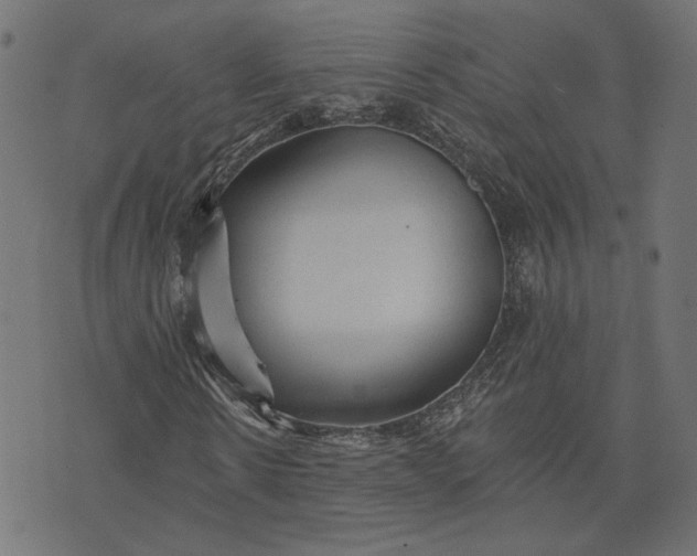 X0000073760914200608171352