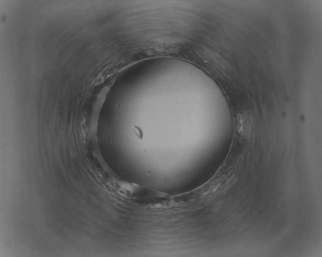 X0000073760915200608171352