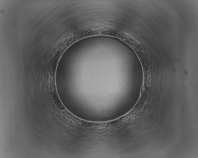 X0000073760917200608171352