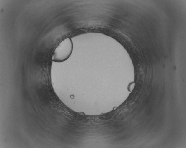 X0000073760918200608171352