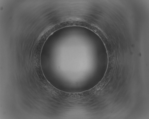 X0000073760919200608171352