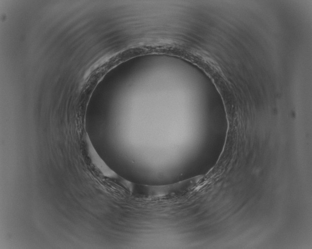 X0000073760920200608171352