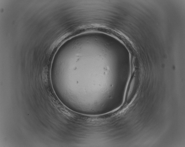 X0000073760921200608171352