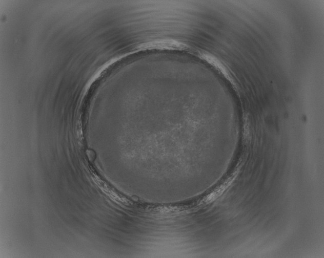 X0000073760923200608171352