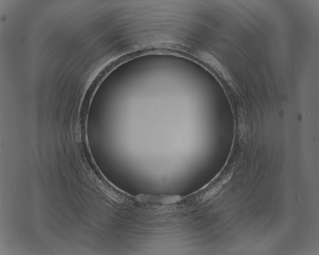 X0000073760924200608171352