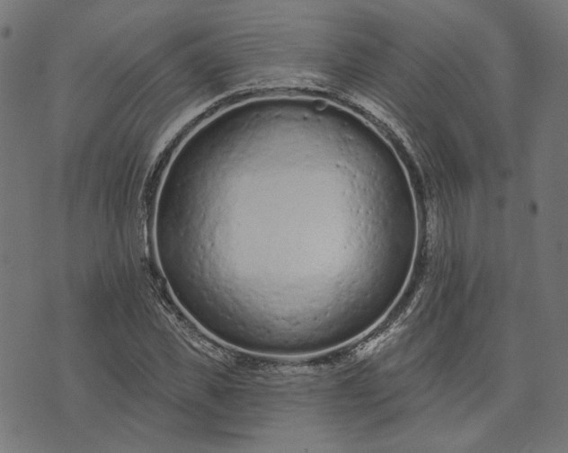 X0000073760925200608171352