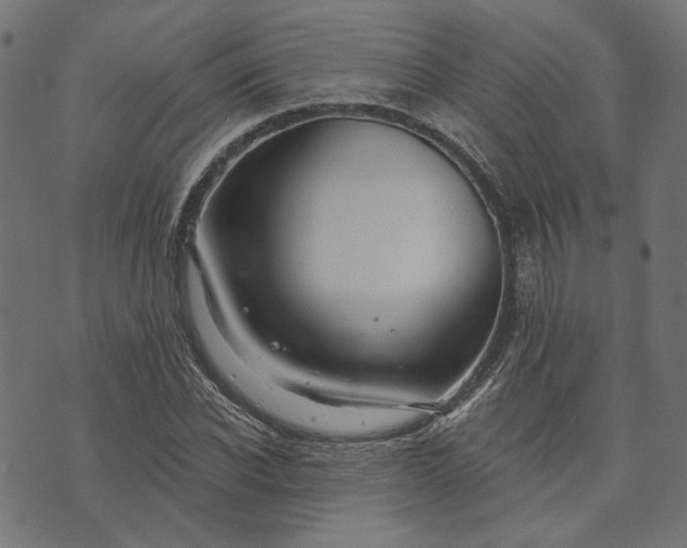 X0000073760926200608171353