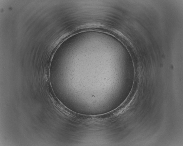 X0000073760929200608171353