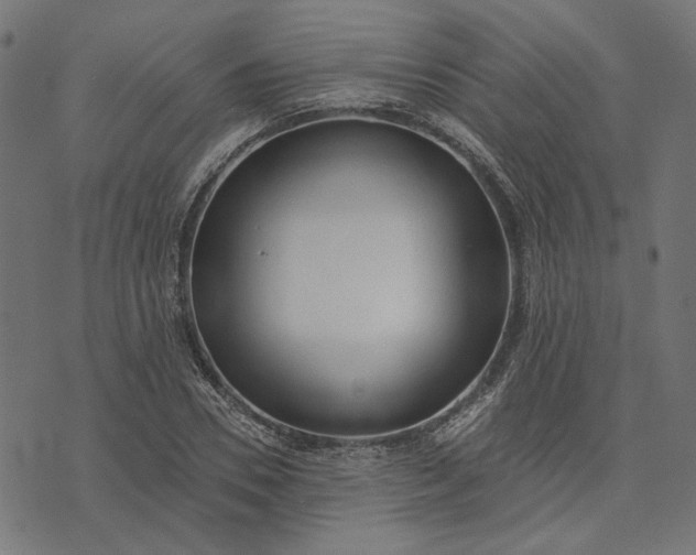 X0000073760930200608171353