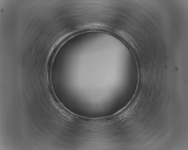 X0000073760931200608171353