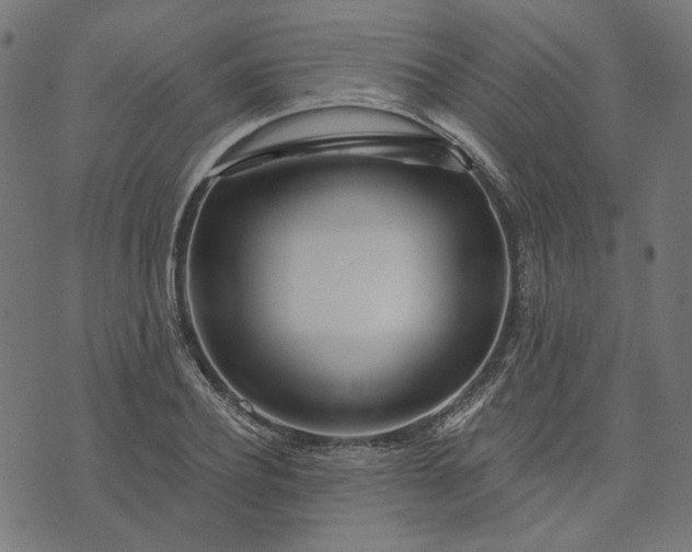 X0000073760932200608171353