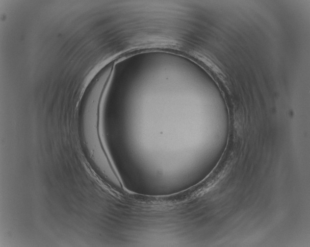 X0000073760933200608171353