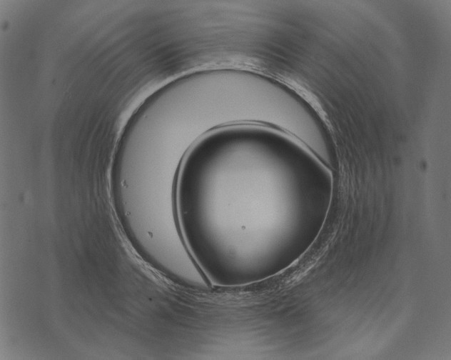 X0000073760936200608171353