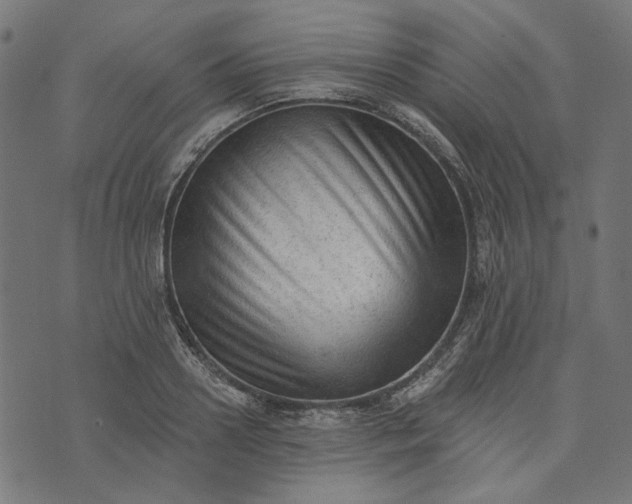 X0000073760938200608171353