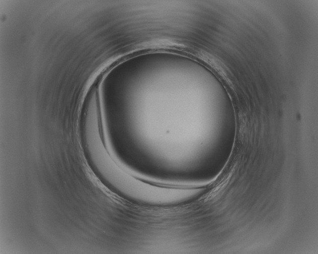 X0000073760939200608171353