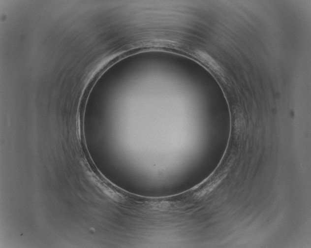 X0000073760940200608171353