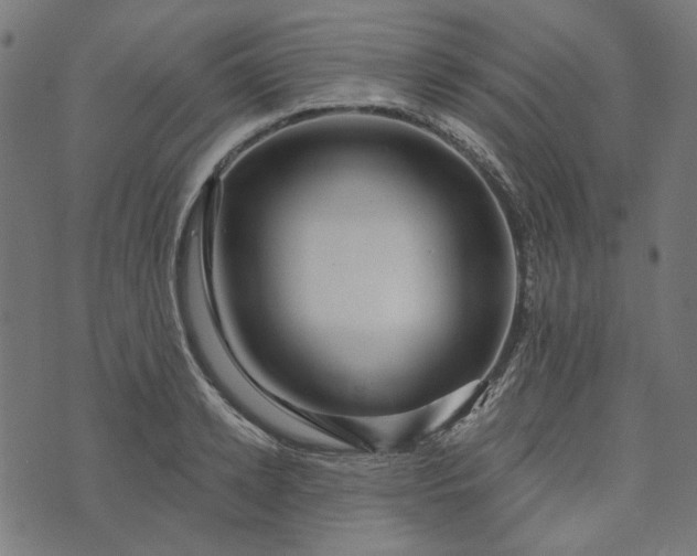 X0000073760942200608171353