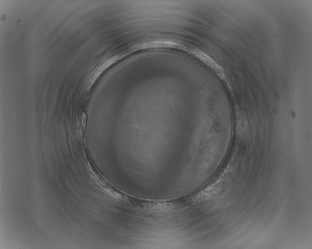 X0000073760945200608171353