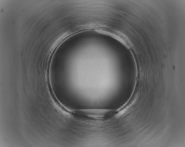 X0000073760946200608171353