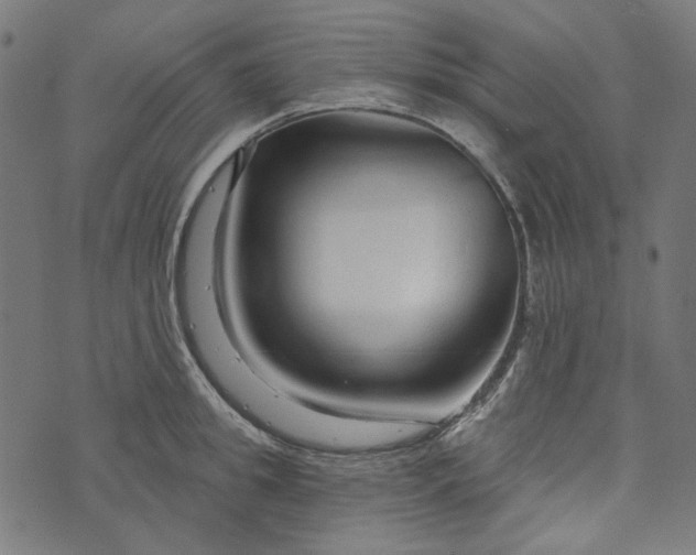 X0000073760949200608171353