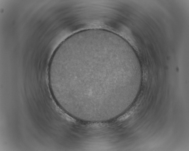 X0000073760950200608171353