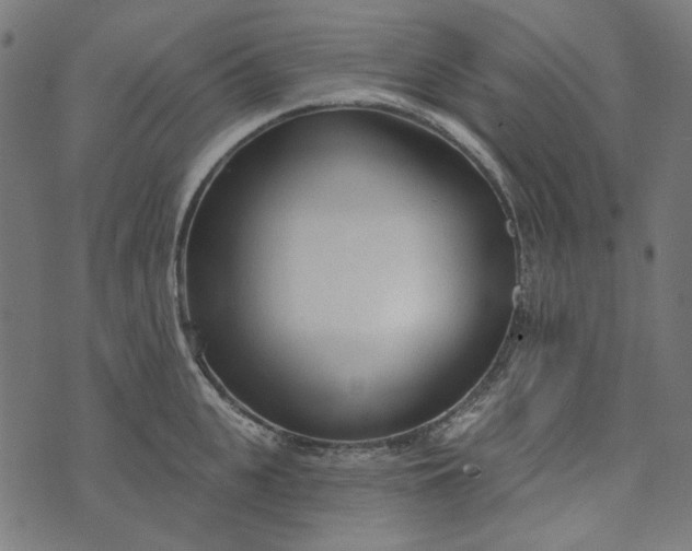 X0000073760951200608171353