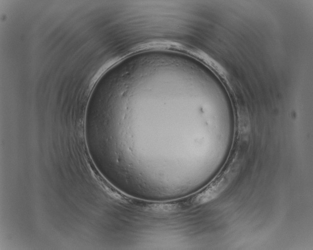 X0000073760953200608171353