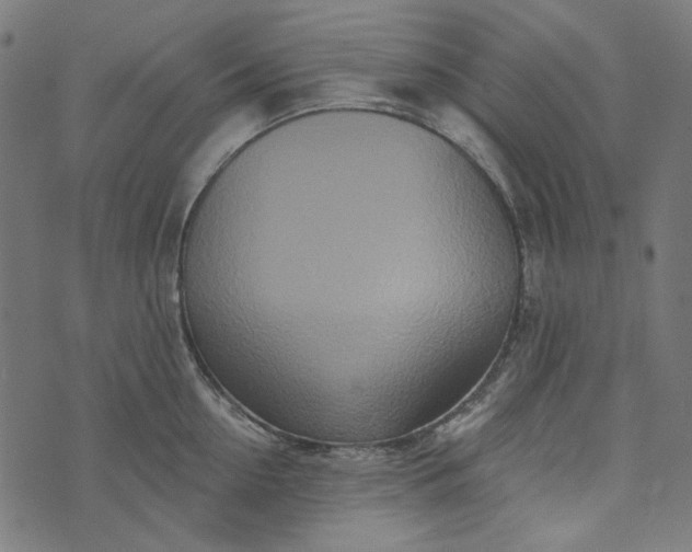 X0000073760954200608171353