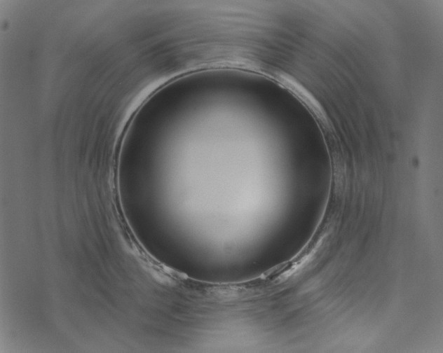 X0000073760956200608171353