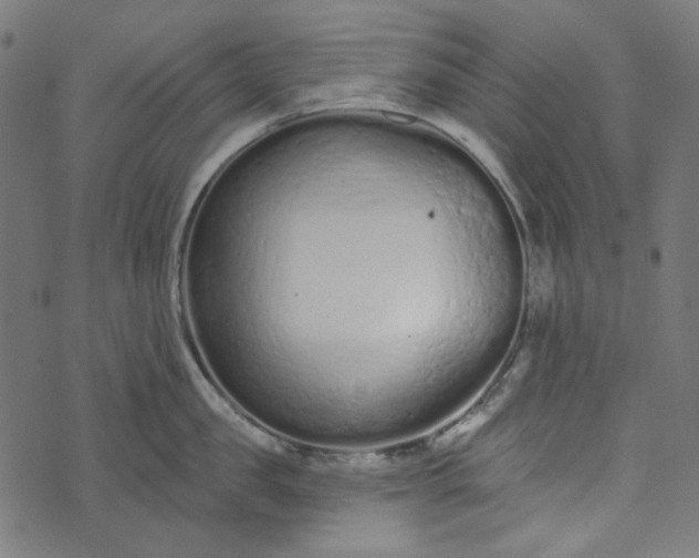 X0000073760957200608171353