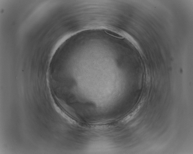 X0000073760958200608171353