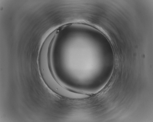 X0000073760959200608171353