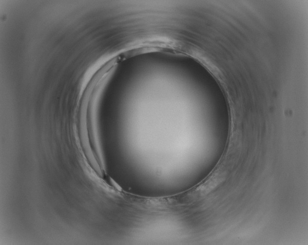 X0000073760960200608171353