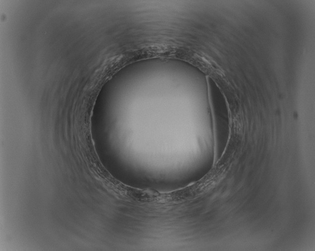 X0000073760961200608171352