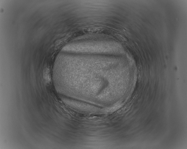 X0000073760962200608171352