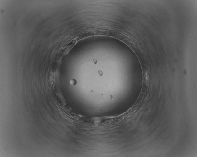 X0000073760963200608171352