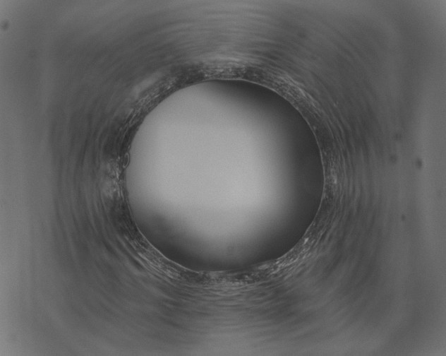 X0000073760964200608171352