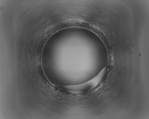 X0000073760965200608171352