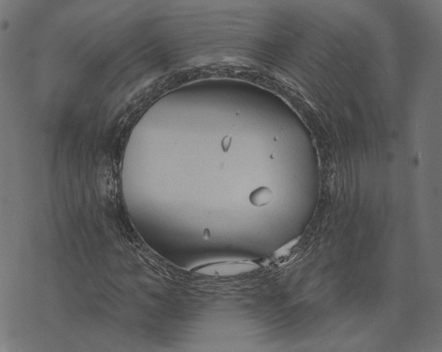 X0000073760966200608171352