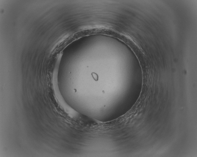 X0000073760967200608171352